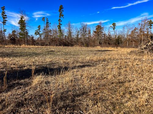 Private, Land for Sale with Cabin : Hartshorn : Texas County : Missouri