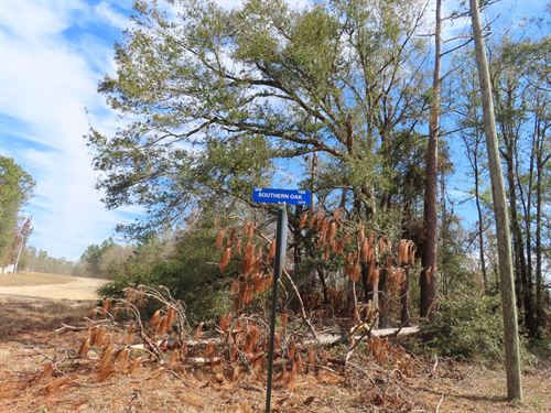 This Much Land in Florida : Jennings : Hamilton County : Florida