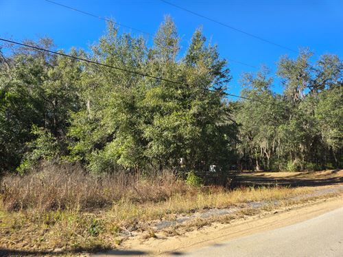 Nice Lot at Paved Road, $173/M : Interlachen : Putnam County : Florida