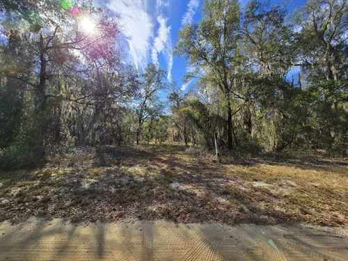 Secluded and Peaceful Lot : Interlachen : Putnam County : Florida