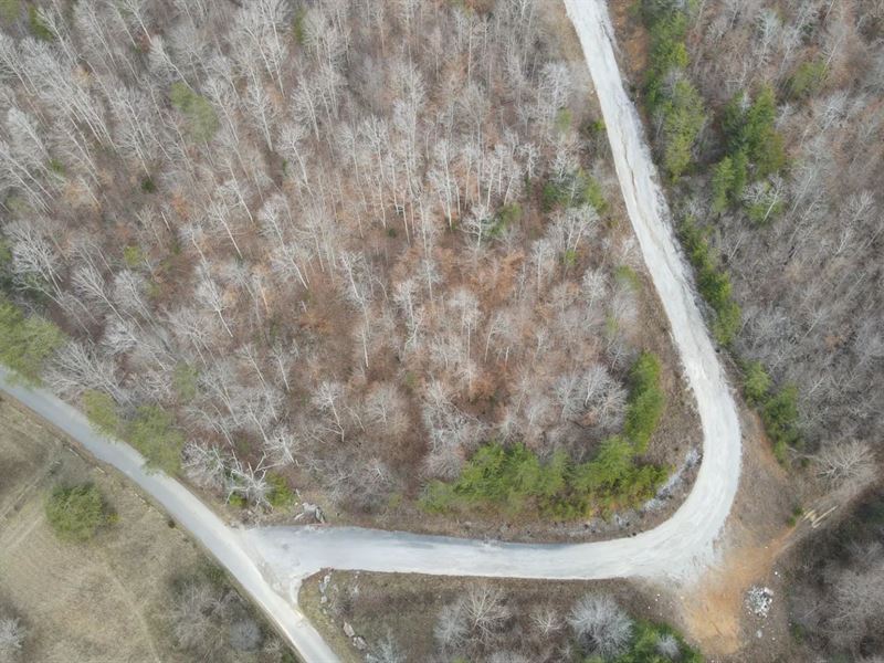 112 Acres in Pulaski County, KY : Burnside : Pulaski County : Kentucky