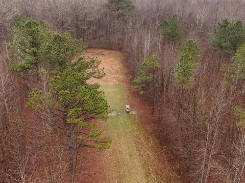 51 Acres in Oktibbeha County, MS : Starkville : Oktibbeha County : Mississippi