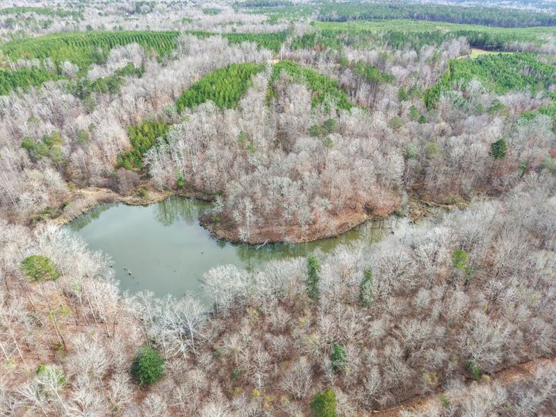 80 Acres in Sumter County, AL : Cuba : Sumter County : Alabama