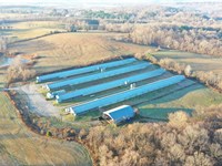 21 Oaks Free Range Broiler Farm : Crofton : Christian County : Kentucky