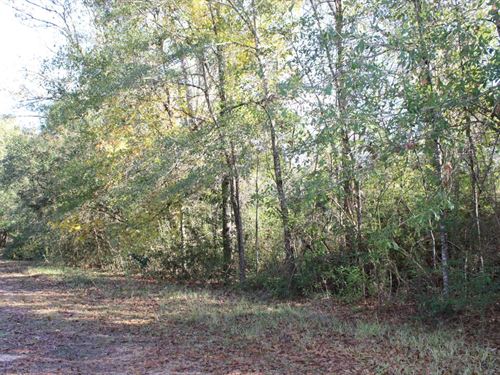 2.312 Acres Lot 3 in Washington : Bogalusa : Washington Parish : Louisiana