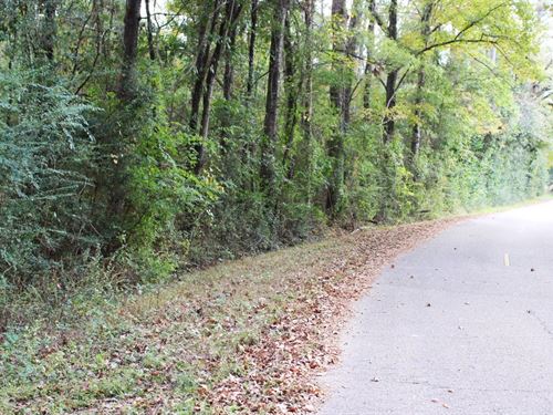 3 Acres Lot 1 in Washington Paris : Bogalusa : Washington Parish : Louisiana