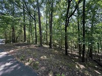 Prime Lakeview Retreat .22-Acre : Hot Springs Village : Saline County : Arkansas