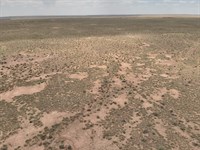 20 Acres Built for Off-Grid Freedom : Holbrook : Navajo County : Arizona