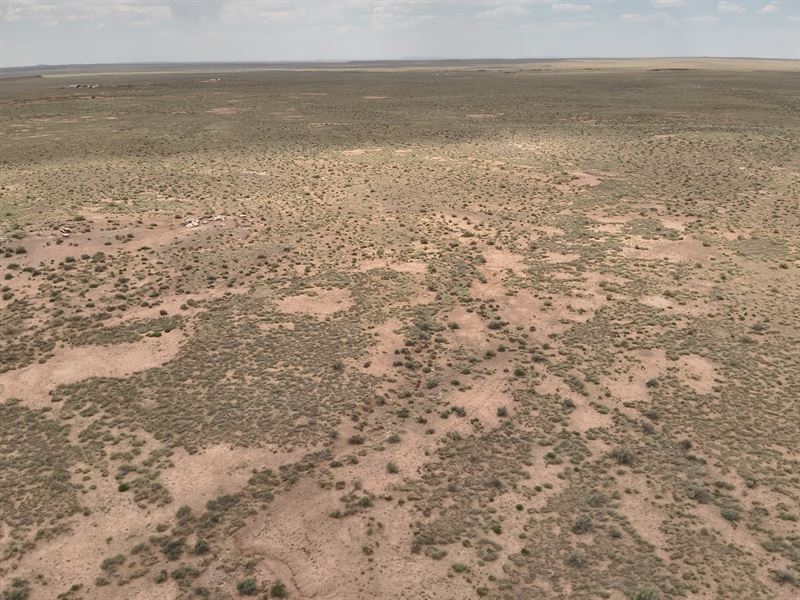 20 Acres Built for Off-Grid Freedom : Holbrook : Navajo County : Arizona