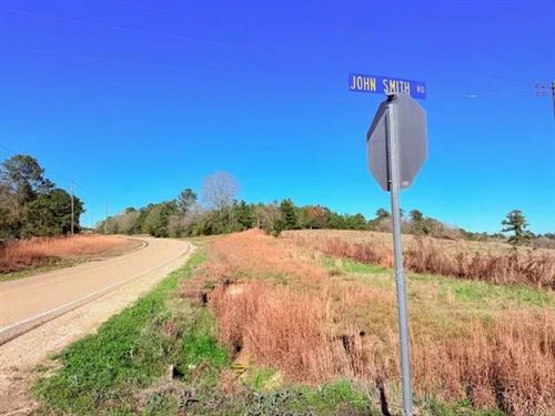 33.9 Acres, John Smith Road, MT : Mount Hermon : Washington Parish : Louisiana