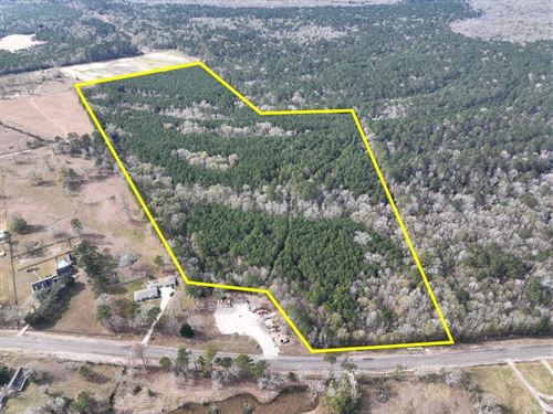 56 Acres, Highway 1131, 01542 : Vidor : Orange County : Texas