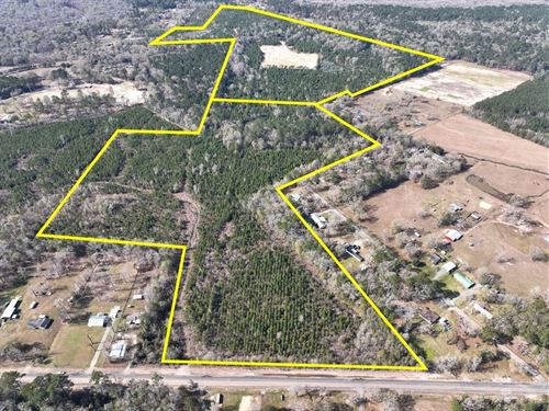 150 Acres, Hwy 1131, 01541 : Vidor : Orange County : Texas