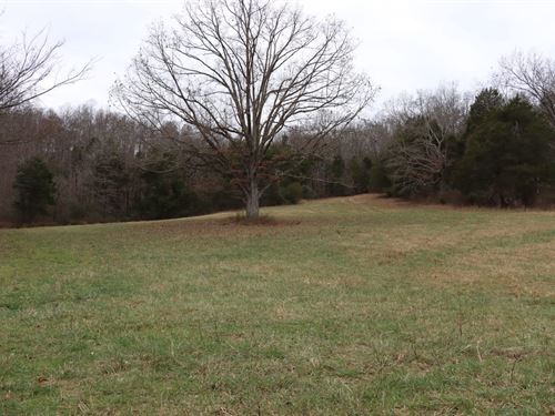 Hunting Cattle Farm For Sale in Ken : Horse Cave : Hart County : Kentucky