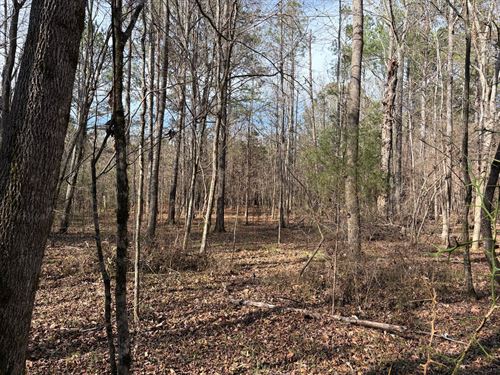 15.54 Acres, Letohatchee, Alab : Letohatchee : Lowndes County : Alabama