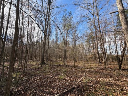 22 Acres Bottomland Hardwood Tract : Letohatchee : Lowndes County : Alabama