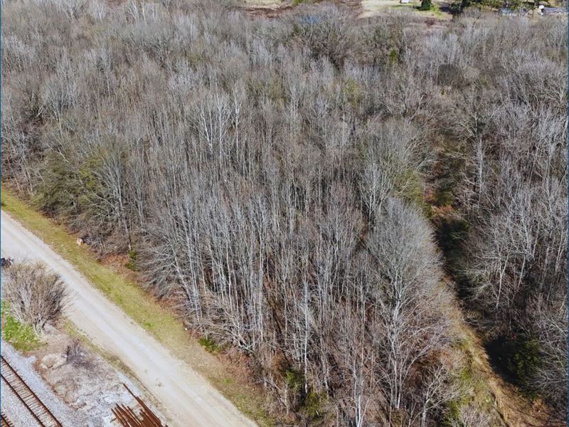 6.1 Acres in Madison County in Flor : Flora : Madison County : Mississippi