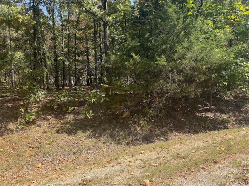 Hidden Gem in Williford : Williford : Sharp County : Arkansas