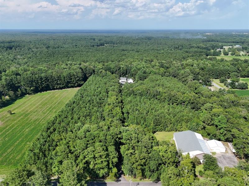 Wooded Lot in Horry County, SC : Little River : Horry County : South Carolina