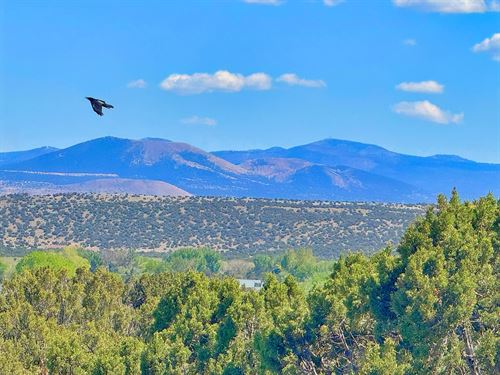 Stunning Views with Power and Water : Concho : Apache County : Arizona