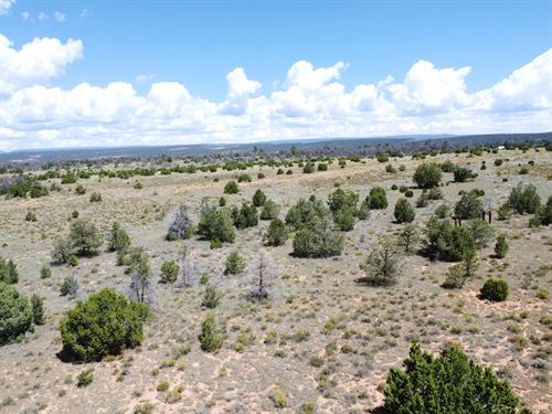 Quiet High Desert Setting : Pinehill : Cibola County : New Mexico