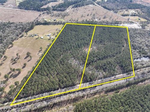 60 Acres, T-3, Zavalla Road, 047 : Mauriceville : Orange County : Texas