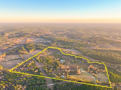 148 Acres, 301 Paul Poe Road : Livingston : Polk County : Texas