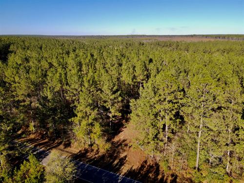 56.7 Acres in Stone County, MS : Wiggins : Stone County : Mississippi