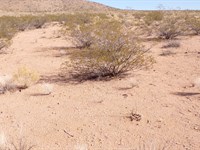 Low Stress More Fun : Kingman : Mohave County : Arizona