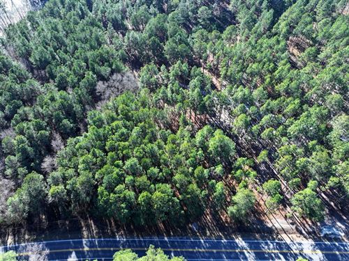 Lot 8 Wooded Residential Lot : Fairmont : Robeson County : North Carolina