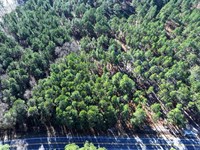 Lot 9 Wooded Residential Lot : Fairmont : Robeson County : North Carolina