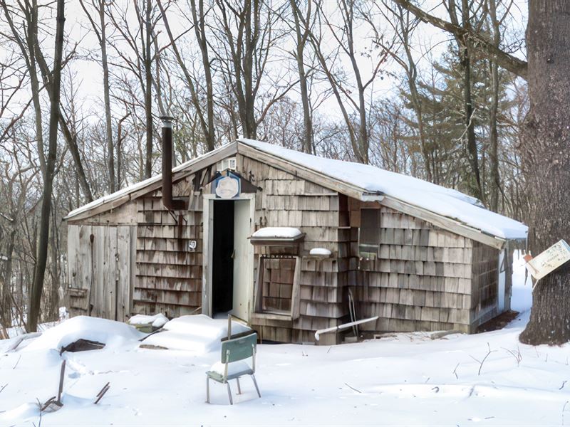 186 Wooded Acres w Access & Power : Salem : Washington County : New York