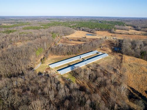 Rocky Top Breeder Farm : Dresden : Weakley County : Tennessee