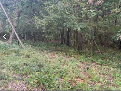 Oversized Residential Parcel : Cherokee Village : Sharp County : Arkansas