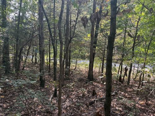 Smart Hold in Cherokee Village, AR : Cherokee Village : Sharp County : Arkansas