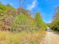 Private Corner Near Diamond Lake : Horseshoe Bend : Izard County : Arkansas