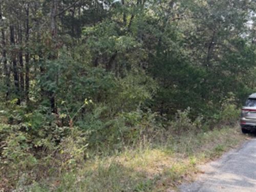 Residential Land Asset : Cherokee Village : Sharp County : Arkansas