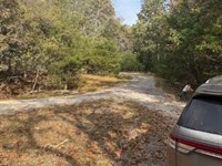 Quiet Spot for a Single Family Home : Cherokee Village : Sharp County : Arkansas