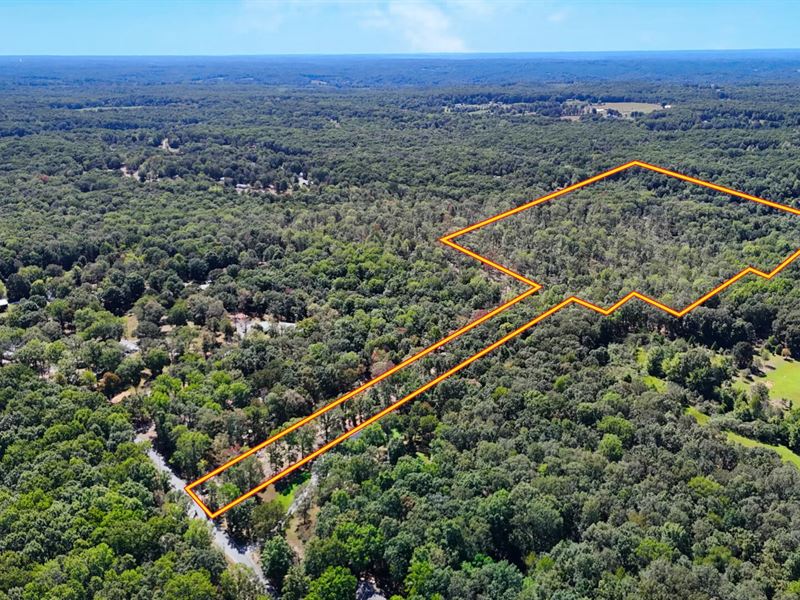 Wooded Land with Total Privacy : Nunnelly : Hickman County : Tennessee