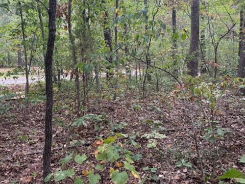 Lake-Proximate Build : Williford : Sharp County : Arkansas