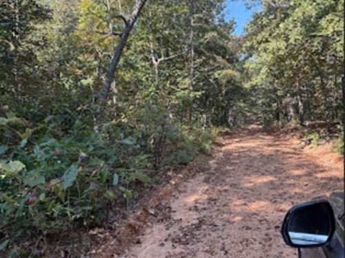 Wooded Escape Near Water & Golf : Williford : Sharp County : Arkansas