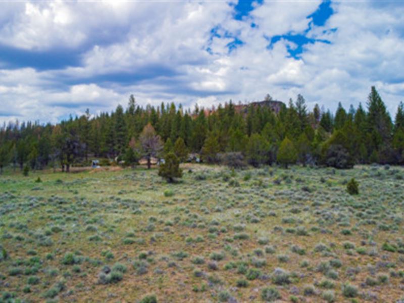 Buy One Plot, Get More Adventure : Chiloquin : Klamath County : Oregon