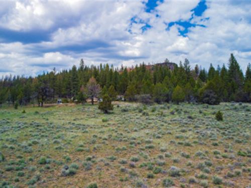 Buy One Plot, Get More Adventure : Chiloquin : Klamath County : Oregon