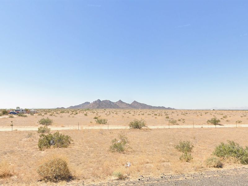 Design Your Desert Masterpiece : Wellton : Yuma County : Arizona