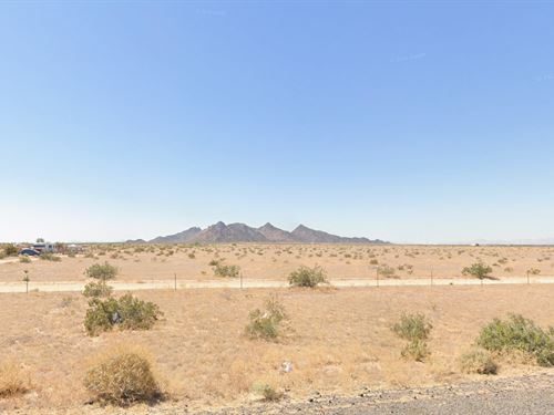 Design Your Desert Masterpiece : Wellton : Yuma County : Arizona