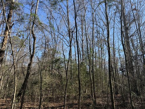 Harrison Road Tract-38 Acres : Honoraville : Crenshaw County : Alabama