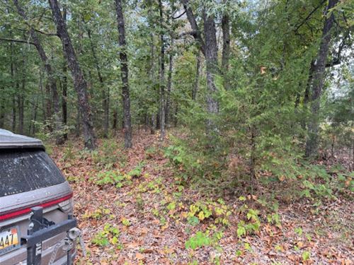 Utilities Nearby, Room to Build : Williford : Sharp County : Arkansas