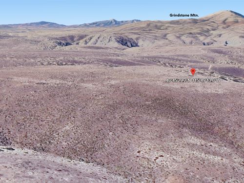 Step Off, Grid & Into Freedom : Elko : Nevada