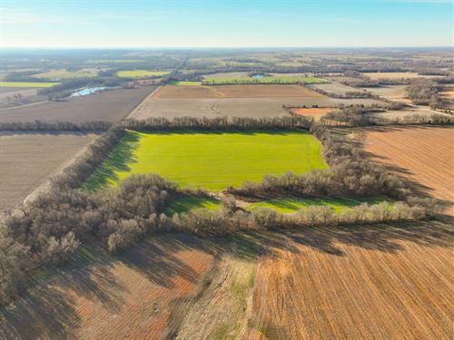 Missouri Farmland Auction : Lamar : Barton County : Missouri