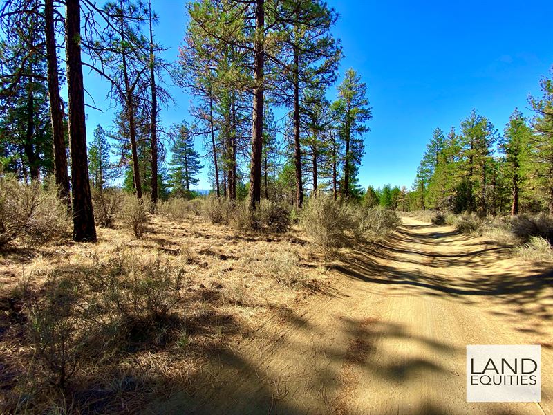 Your Own Private Spot in The Trees : Sprague River : Klamath County : Oregon