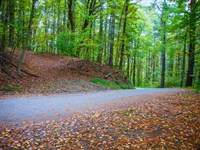 .71 Acres Ashe County NC : Fleetwood : Ashe County : North Carolina